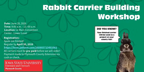Rabbit Carrier Building Workshop