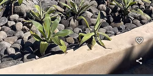 Sale Playa 21 Marzo Q150