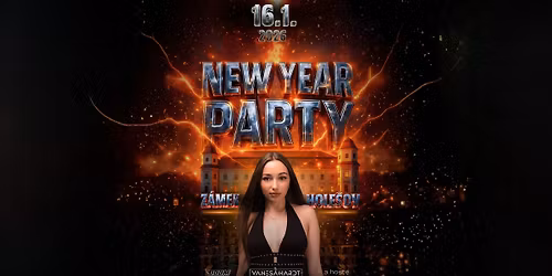 \ud83d\udc26\u200d\ud83d\udd25NEW YEAR PARTY\ud83d\udc26\u200d\ud83d\udd25 - Z\u00e1mek Hole\u0161ov