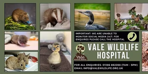 An Evening of Music in Aid of Vale Wildlife Hospital