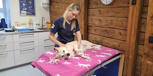 \ud83d\udc49\ud83c\udffcPalpasjon og Styrketreningskurs med Fjellveterin\u00e6ren \ud83d\udcaa\ud83c\udffb\ud83e\udd29