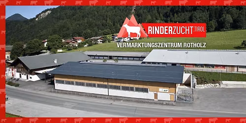 Zuchtviehversteigerung