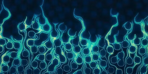 Can dynamic multiphase flow drive chaotic mixing in porous media?