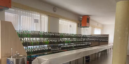 Velikono\u010dn\u00ed ko\u0161t v\u00edna \u010celo\u017enice