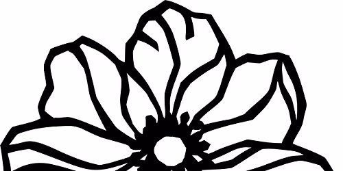 Plant and Craft Spring Fair - Holburne Museum