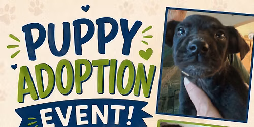 Puppy Debut 