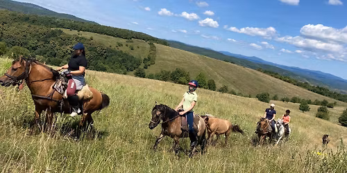 Tornabarakonyi csal\u00e1di lovast\u00e1bor 2026 - family horse riding camp