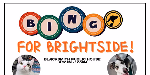 BINGO For BrightSide Animal Center