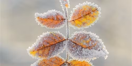 10th Annual Jingle Bell Junction 