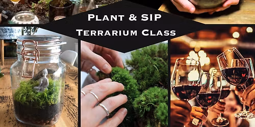 Plant & Sip: Terrarium Class w\/ Wine