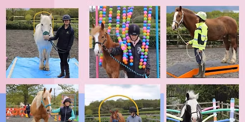 ** SESSIONS FULL ** Horse Agility Training (Indoor)
