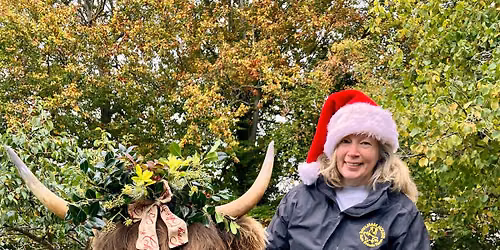 \ud83c\udf84\ud83d\udc2e Highland cow wreath making experience\ud83d\udc2e\ud83c\udf84