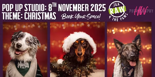 Christmas Photo Shoot