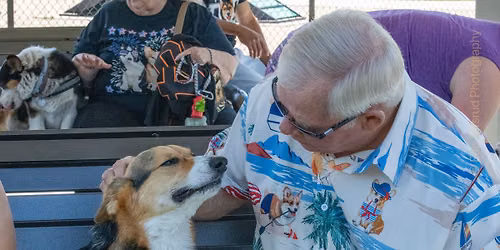 Oasis Dog Park - Big Meet