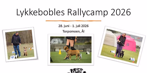 Lykkebobles rallycamp 2026