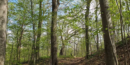 Spring Equinox Hike at Meadowbrook