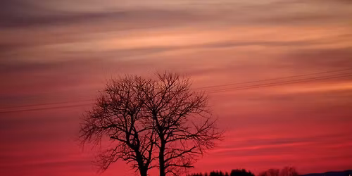 Caregiving and End-Of-Life-Care