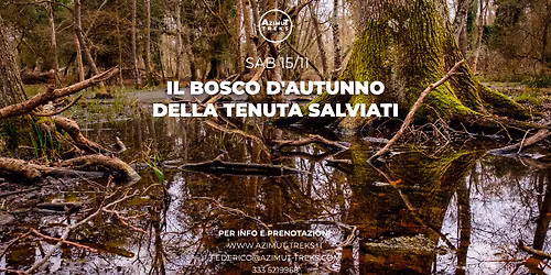 Il bosco d'autunno della Tenuta Salviati