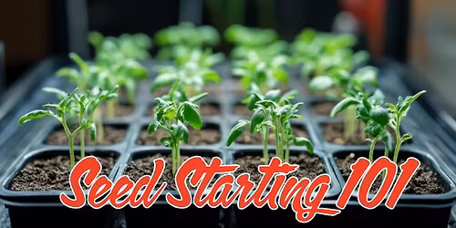 Starting Seeds Indoors: Beat Edmonton's Short Growing Season