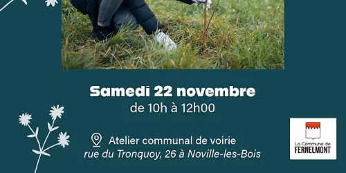 Distribution de plants \u00e0 Fernelmont - Semaine de l\u2019Arbre 2025 