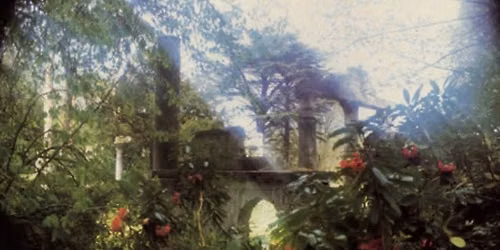 Epic Garden Music VIII: Strum and Thrum