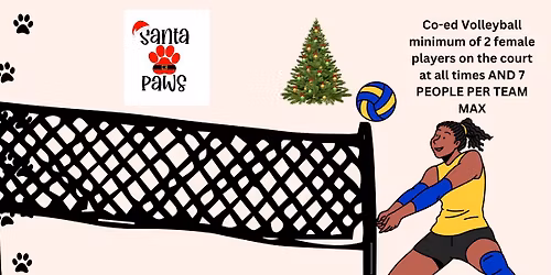 Santa Paws Volleyball Tournament you name you donation