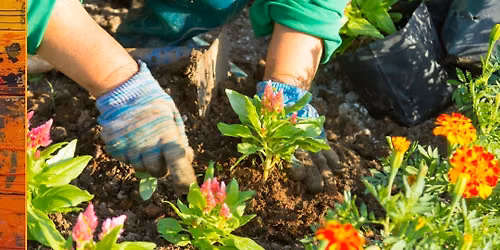Gardening for Wellbeing + Take Home a Plant