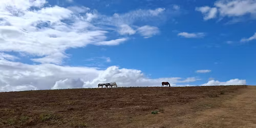 History on the Hill: A Guided Hike on the Long Mynd