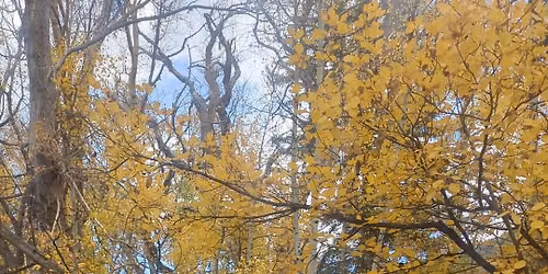 \ud83c\udf41 Autumn Equinox Reiki Sound Bath \ud83c\udf42