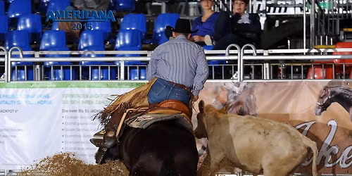 WORKING COWHORSE klinika s Kayem Wienrichem