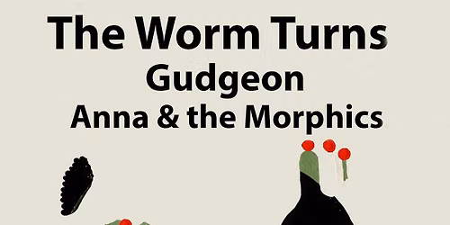 The Worm Turns + Gudgeon + Anna and the Morphics @Black Bear Lodge