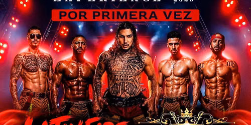Ladies Night Experience Tour