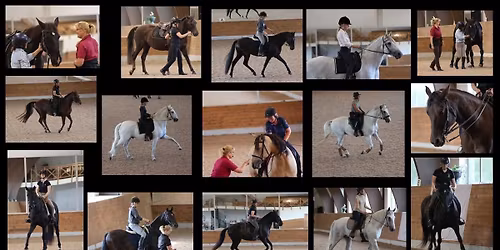 Dressyrkurs inom klassisk dressyr med Melanie Bulmahn