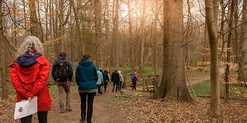 Forest Bathing Walk at Ault Park
