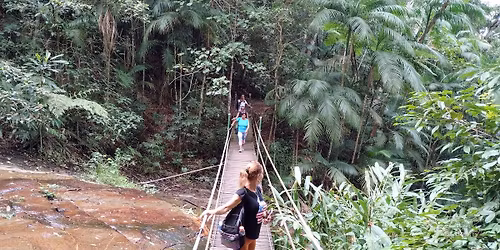 Trilha Cova da On\u00e7a e Cascatinha taunay .
