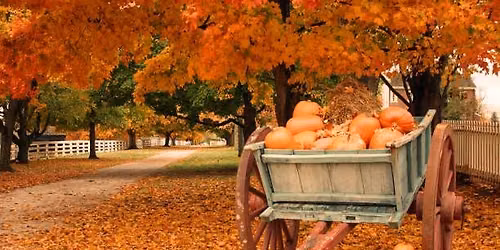 Fall Days at the BHH- Live Music!