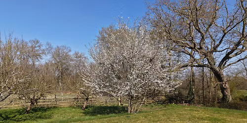 Root To Bloom Retreat | Floristry, Forest Therapy and Mindful Movement 