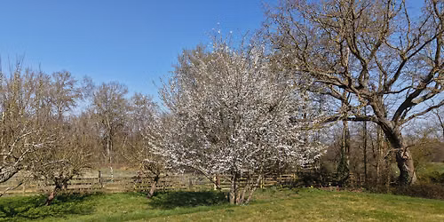 Root To Bloom Retreat | Floristry, Forest Therapy and Mindful Movement 