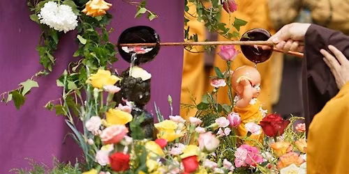 Vesak Celebration - Watering the Buddha Within