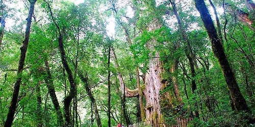 \u93ae\u897f\u5821\u3001\u53f8\u99ac\u5eab\u65af \u4e8c\u65e5\u904a