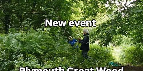 Plymouth Great Wood