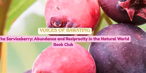 Voices of Bawating Book Club: The Serviceberry