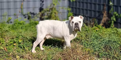 Alles auf Null... - Charakteranalyse und Einsch\u00e4tzung