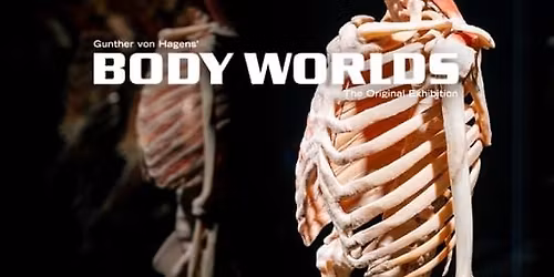 BODY WORLDS: The Anatomy of Happiness