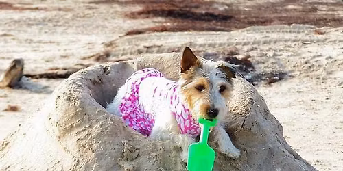 PepperJack's Plunge IDS Liberty Leap