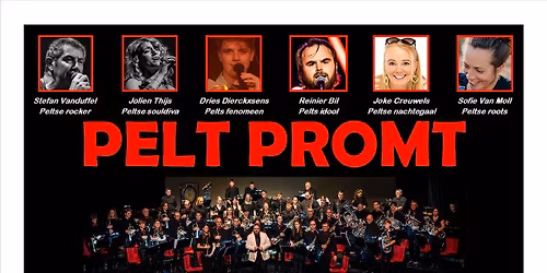 Pelt Promt 2025