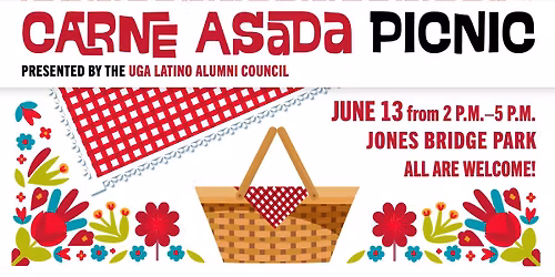 Carne Asada Picnic