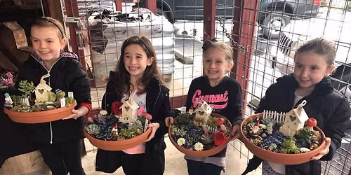 Summer Succulent Fairy Garden Workshops