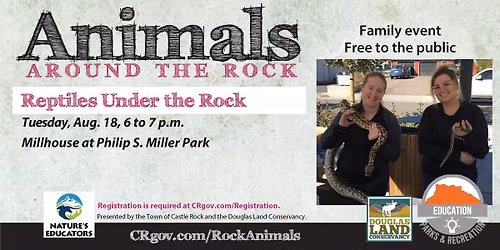 Animals Around the Rock: Reptiles Under the Rock