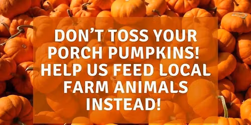 Riverwalk Pumpkin Drop 2025